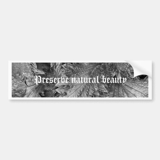 Silver Beauty Bumpersticker (Voorkant)