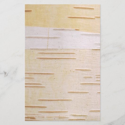 Silver Birch Bark Stationery Briefpapier (Voorkant)