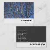 Silver Birch Branches 02 Visitekaartje (Voorkant / Achterkant)