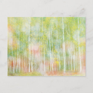Silver Birch Trees Briefkaart