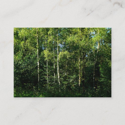 Silver Birch Trees, foto van Mini Visitekaartje (Voorkant)