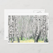 Silver Birch Wood - Briefkaart (Voorkant / Achterkant)