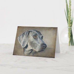 Silver Blue Weimaraner Portret Kaart