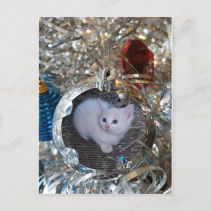 Silver Bulb Full Lijst Briefkaart