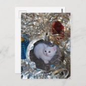 Silver Bulb Full Lijst Briefkaart (Voorkant / Achterkant)