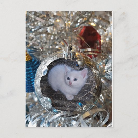 Silver Bulb Full Lijst Briefkaart (Voorkant)