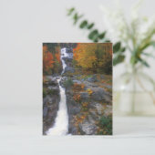 Silver Cascade Autumn Briefkaart (Staand voorkant)