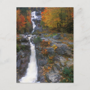 Silver Cascade Autumn Briefkaart
