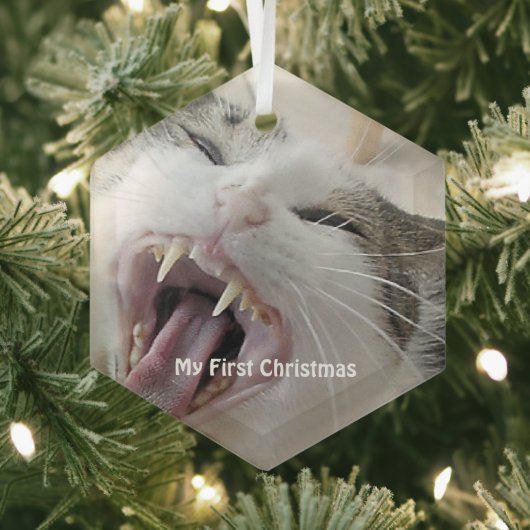 Silver Crazy Cat - Mijn eerste kerstfoto Glas Ornament (Insitu)