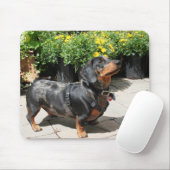 Silver Dapple Dachshund Buddy 2 Muismat (Met muis)