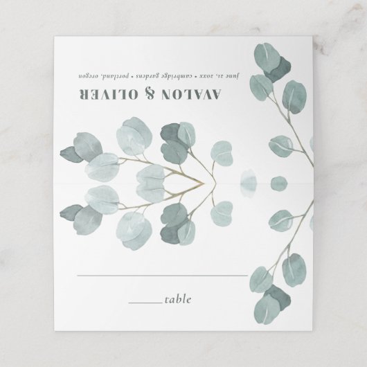 Silver Dollar Eucalyptus Weddenschap (Buitenkant ongevouwen)