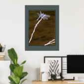 Silver Dragonfly Poster (Thuiskantoor)