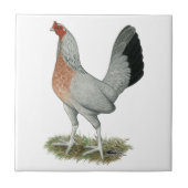 Silver Duckwing Game Hen Tegeltje (Voorkant)