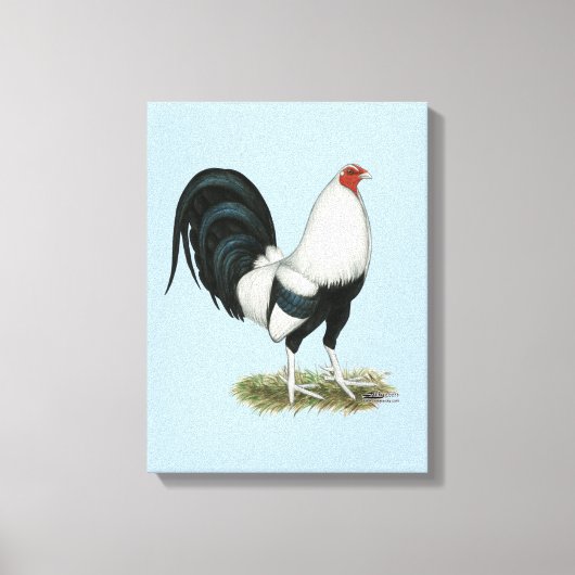 Silver Duckwing Gamecock Canvas Afdruk (Voorkant)