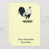 Silver Duckwing Gamecock Kaart (Voorkant / Achterkant)