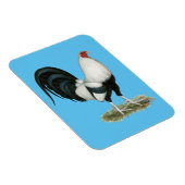 Silver Duckwing Gamecock Magneet (Rechterzijde)