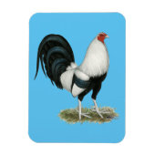 Silver Duckwing Gamecock Magneet (Verticaal)