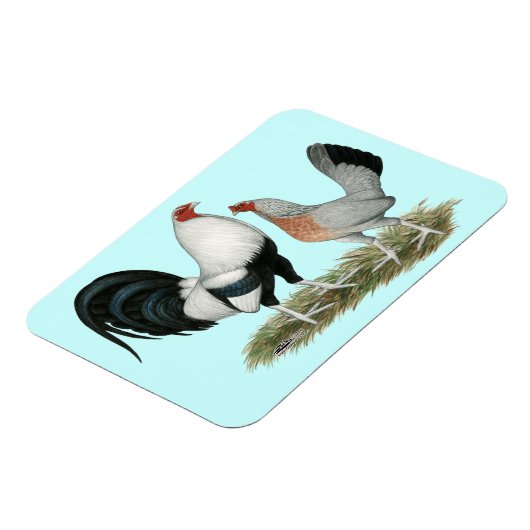 Silver Duckwing Gamefowl Magneet (Linkerzijde)