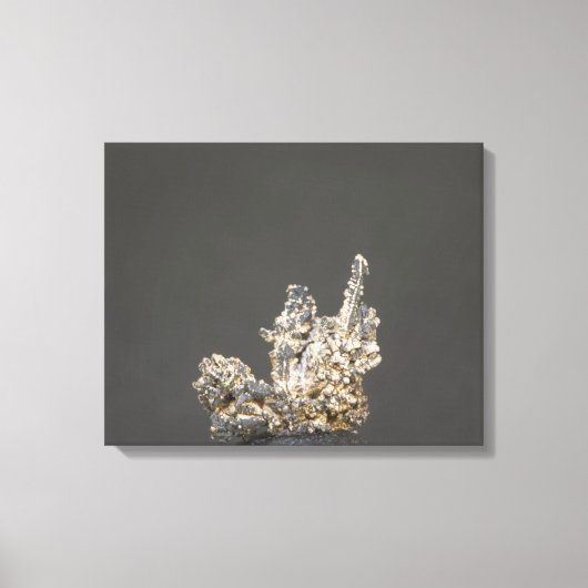 Silver, Duitsland Canvas Afdruk (Voorkant)