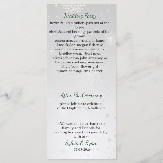 Silver Emerald Green snewflakes winterbruiloft Programma (Achterkant)