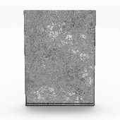 Silver Etched Orchids Design Fotoblokken (Voorkant)
