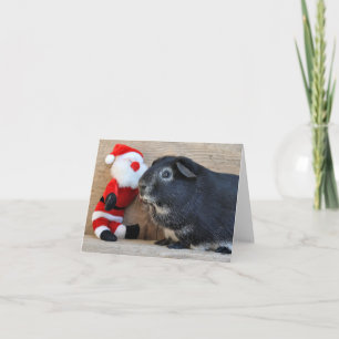 Silver Fox Guinea Pig. en Santa Feestdagen Kaart