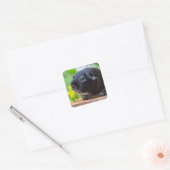 Silver Fox Guinea Pig op Stump met ventilator Vierkante Sticker (Envelop)
