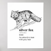 SILVER FOX - POSTER (Voorkant)