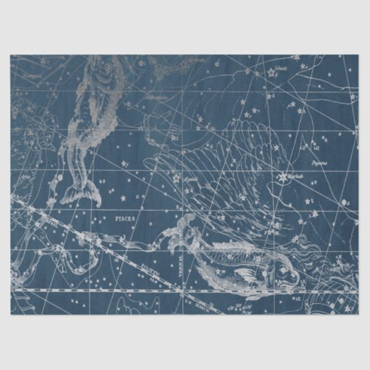 Silver Galaxy Star Map Series Design 12 Tissuepapier (Voorkant)