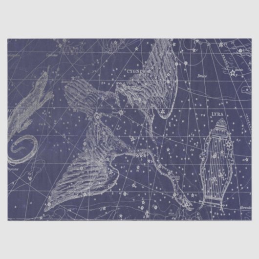 Silver Galaxy Star Map Series Design 5 Tissuepapier (Voorkant)