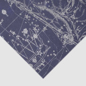 Silver Galaxy Star Map Series Design 8 Tissuepapier (Detail)