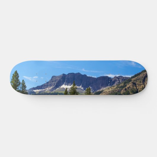 Silver Gate Montana Skateboard (Horizontaal)