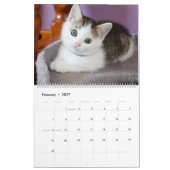 Silver Glitter Roos Gold Foil Monogram Foto Kalender (Feb 2027)