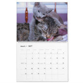 Silver Glitter Roos Gold Foil Monogram Foto Kalender (Mar 2027)