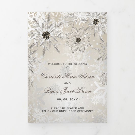 Silver Gold Snowflake Winter Wedding Drieluik Programma (Cover)