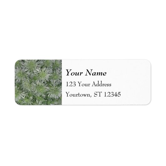 Silver Green Foliage Pattern Etiket (Voorkant)