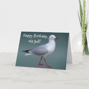 Silver Gull Card Kaart