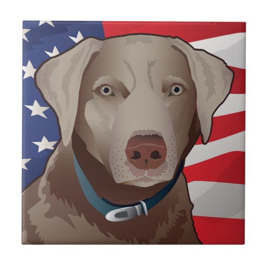 Silver Lab Retriever of America Tegeltje (Voorkant)