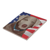 Silver Lab Retriever of America Tegeltje (Zijkant)