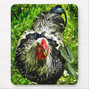 Silver Laced Wyandotte Rooster in Green Mousepad Muismat
