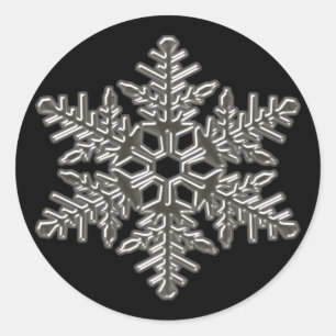 Silver Metal Deco Snow Herfst Snowflakes Ronde Sticker