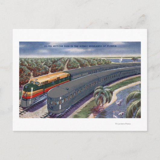 Silver Meteors "Seaboard" in Florida Highlands Briefkaart (Voorkant)