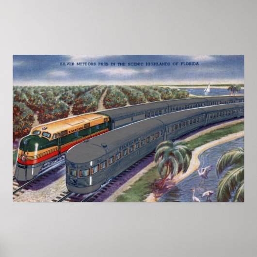 Silver Meteors "Seaboard" in Florida Highlands Poster (Voorkant)