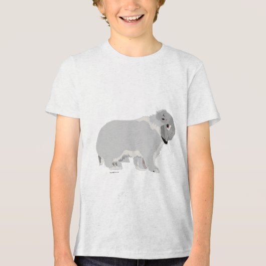 Silver Mini Lop Tri-Blend Shirt (Voorkant)