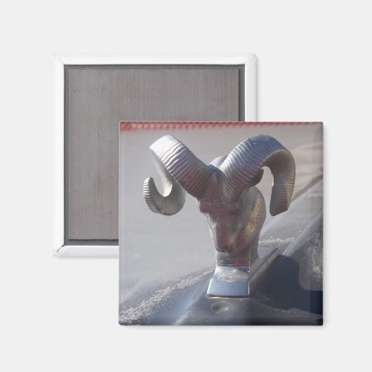 Silver Ram Magneet (Voorkant / Achterkant)