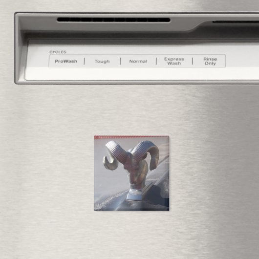 Silver Ram Magneet (Insitu (Vaatwasser))