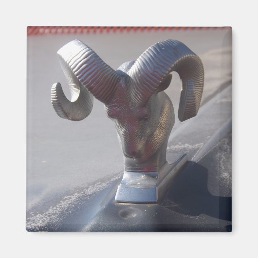 Silver Ram Magneet (Voorkant)