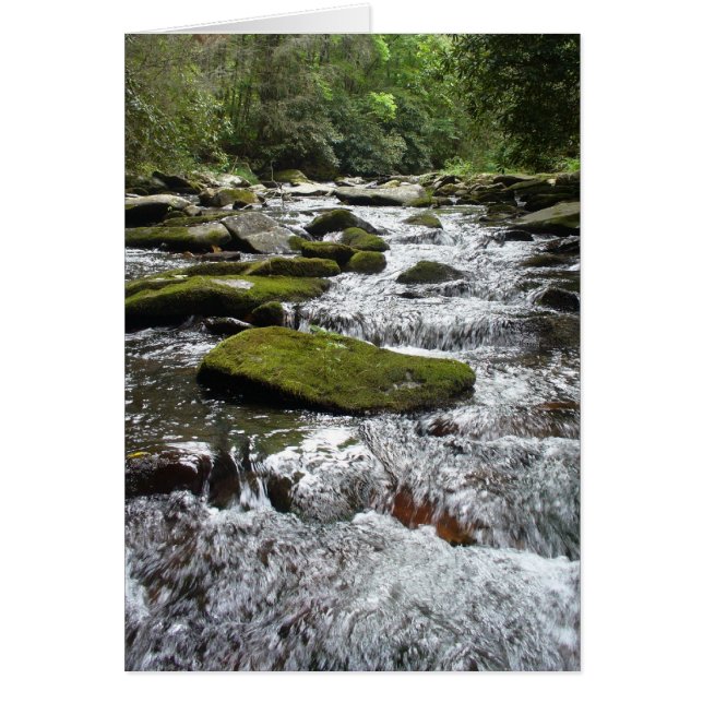 Silver Rapids (Devant)