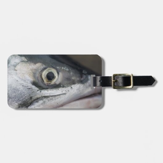 Silver Salmon Face Bagagelabel (Voorkant horizontaal)