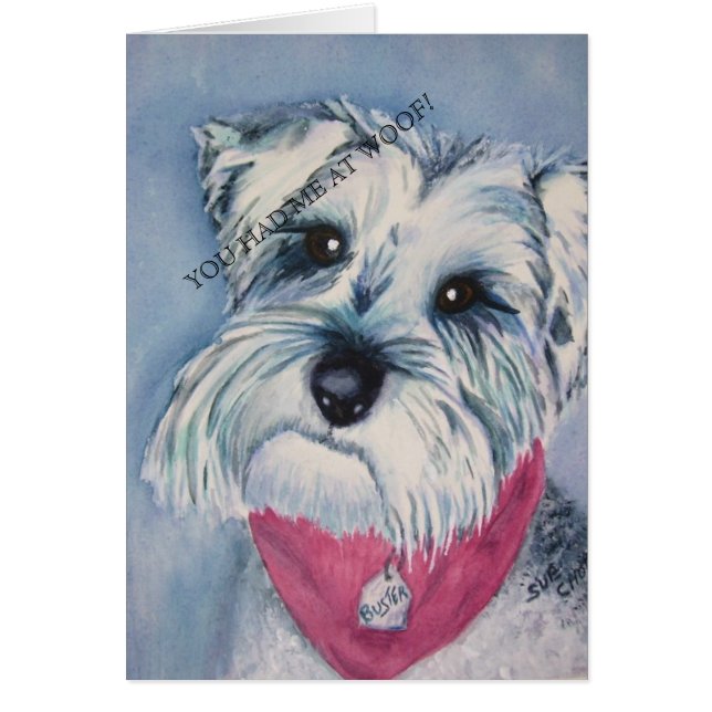 SILVER SCHNAUZER (Devant)